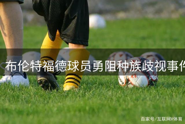布伦特福德球员勇阻种族歧视事件 涉案司机被判罚款