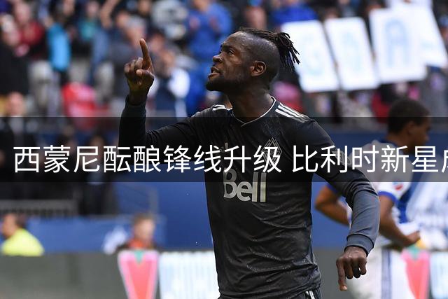 西蒙尼酝酿锋线升级 比利时新星成马竞今夏头号目标